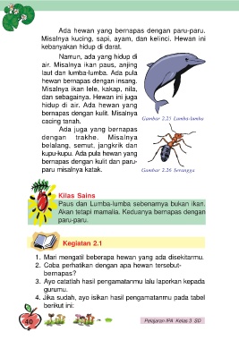 Detail Gambar Paru Paru Ikan Lumba Lumba Nomer 44