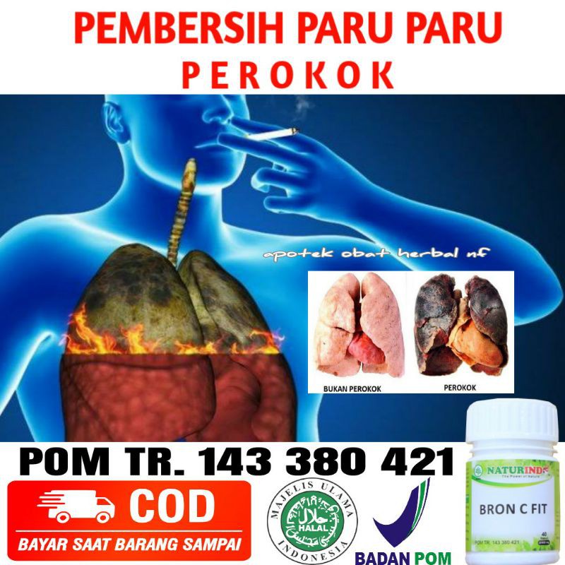 Detail Gambar Paru Paru Perokok Nomer 24