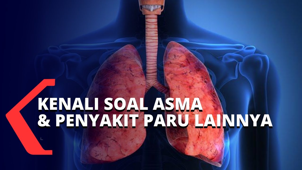 Detail Gambar Paru Paru Yang Terkena Asma Nomer 11