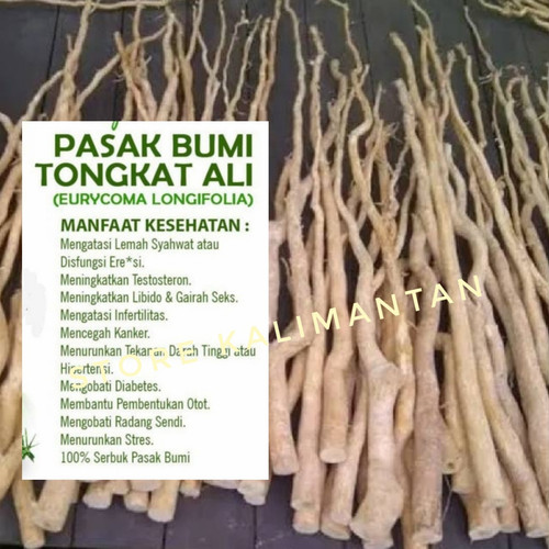 Detail Gambar Pasak Bumi Nomer 44