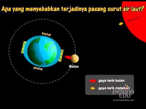 Detail Gambar Pasang Surut Air Laut Nomer 11