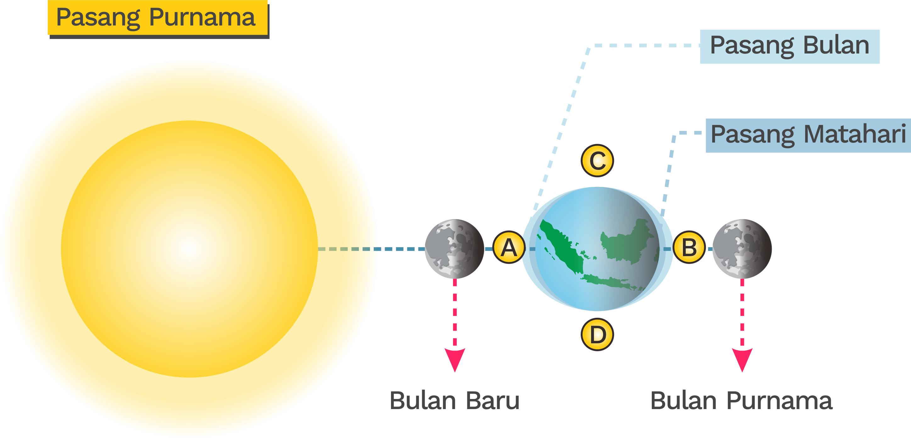 Detail Gambar Pasang Surut Air Laut Nomer 3