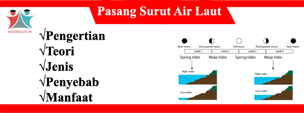 Detail Gambar Pasang Surut Air Laut Nomer 33