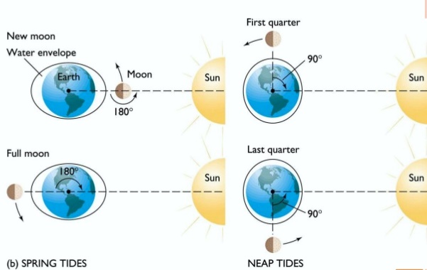 Detail Gambar Pasang Surut Air Laut Nomer 53