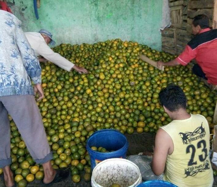 Detail Gambar Pasar Buah Gambar Pusar Buah Nomer 2