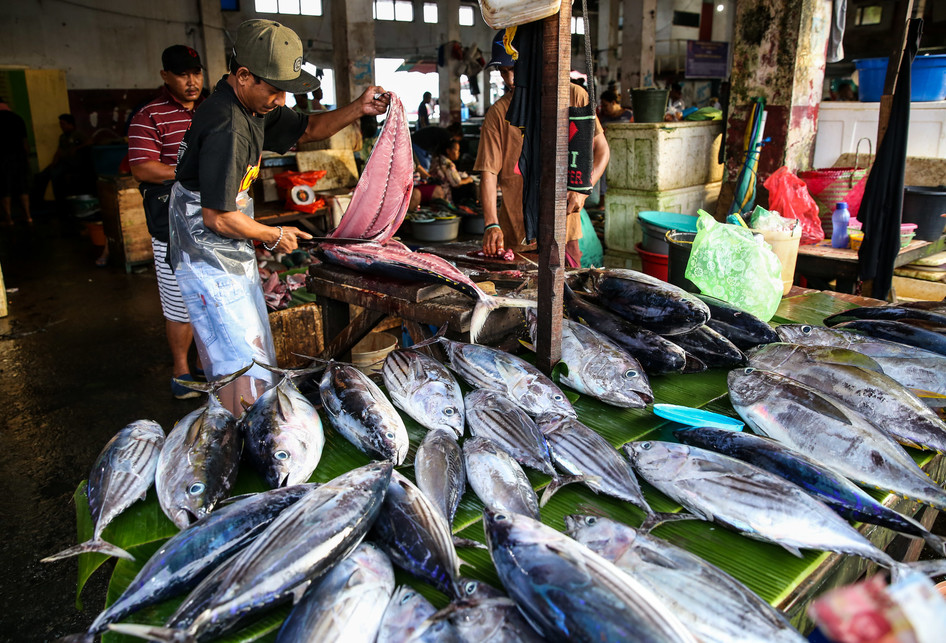 Gambar Pasar Ikan - KibrisPDR