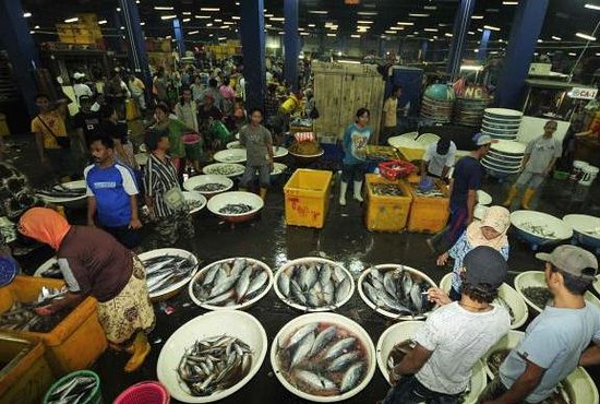 Detail Gambar Pasar Ikan Nomer 29