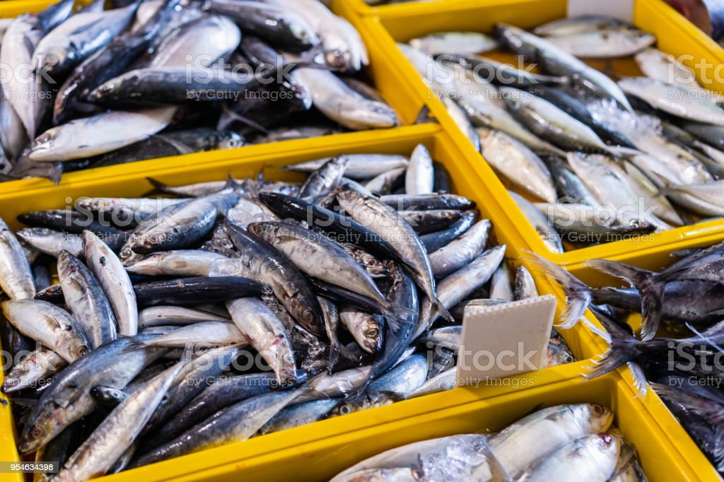 Detail Gambar Pasar Ikan Nomer 35