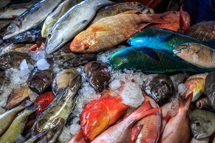 Detail Gambar Pasar Ikan Nomer 5