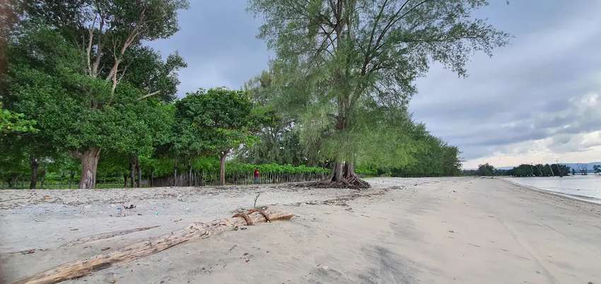 Detail Gambar Pasir Di Pinggir Pantai Nomer 51