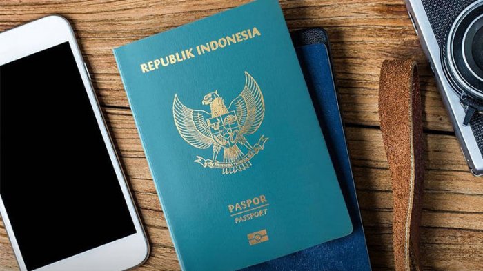 Detail Gambar Paspor Dan Visa Nomer 23