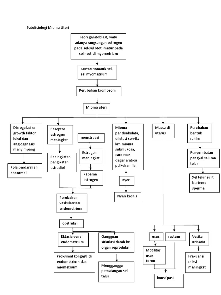 Detail Gambar Patofisiologi Menstruasi Nomer 18