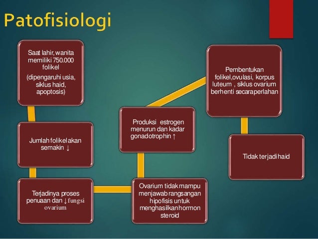 Detail Gambar Patofisiologi Menstruasi Nomer 29