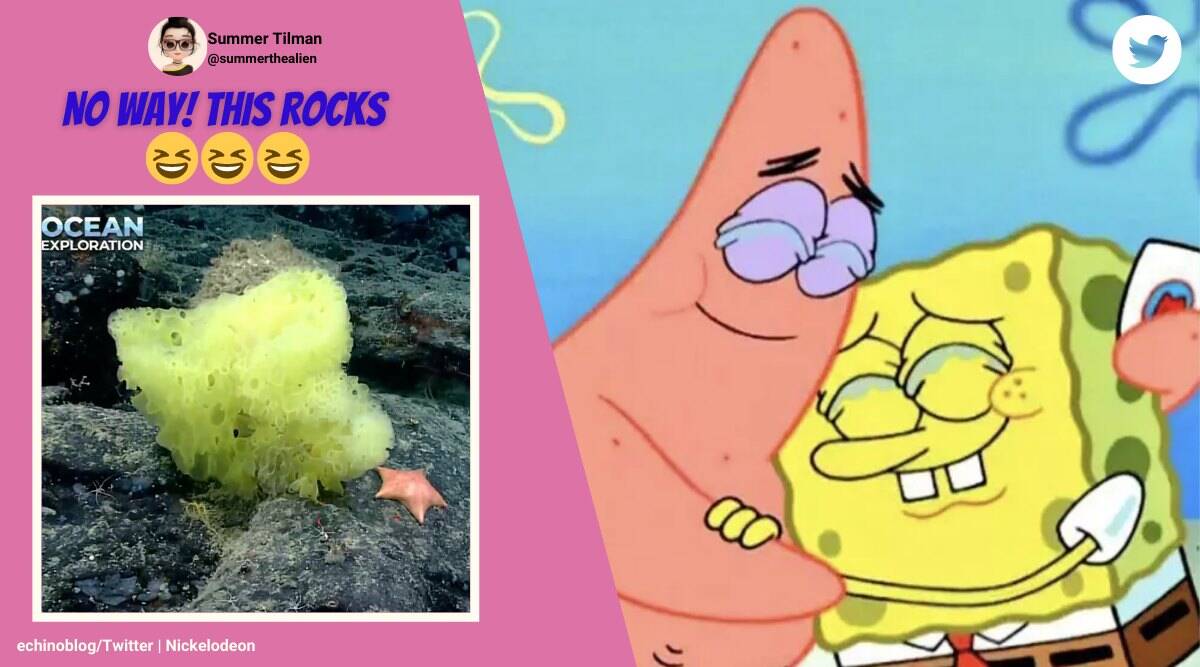 Detail Gambar Patrick Dan Spongebob Nomer 27