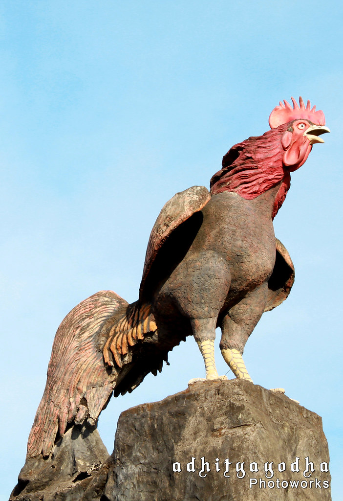 Detail Gambar Patung Ayam Nomer 4