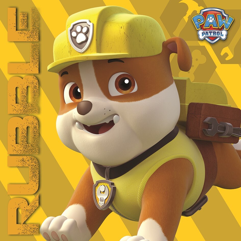 Detail Gambar Paw Patrol Rubble Nomer 9