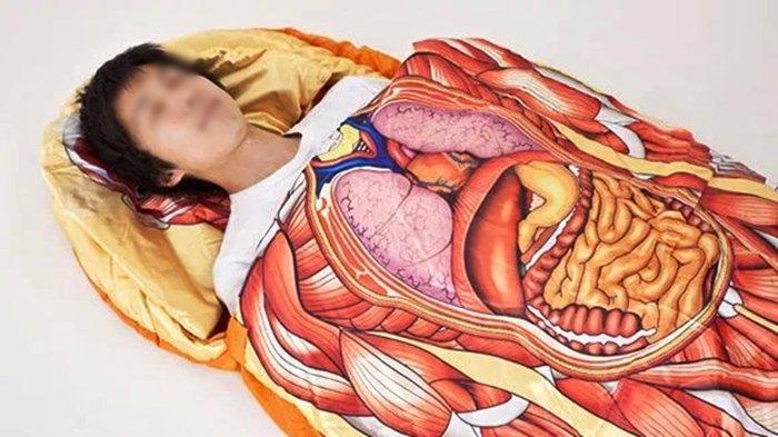 Detail Gambar Pebgambilan Organ Tubuh Anak Nomer 23