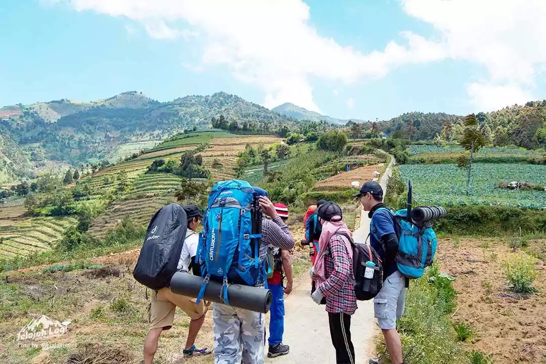 Detail Gambar Pecinta Alam Nomer 2