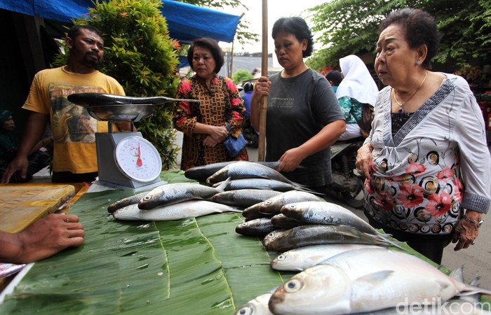 Detail Gambar Pedagang Ikan Nomer 20