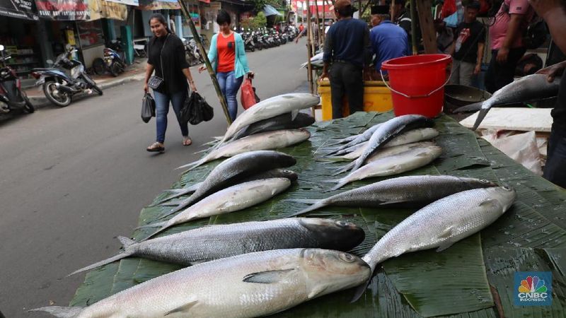 Detail Gambar Pedagang Ikan Nomer 25