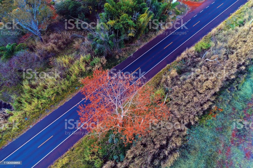 Gambar Pedesaan Yang Bagus