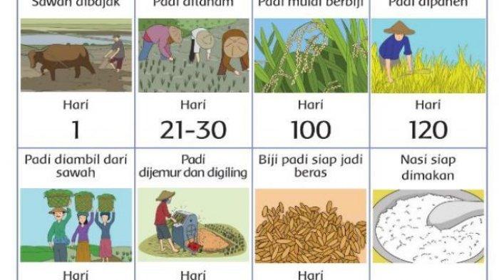 Detail Gambar Peduli Terhadap Makhluk Hidup Nomer 38