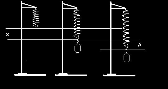 Detail Gambar Pegas Dalam Praktikum Nomer 8