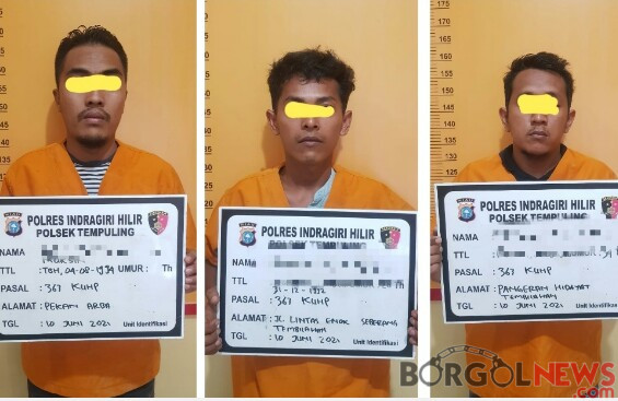 Detail Gambar Pegawai Sendiri Nomer 10