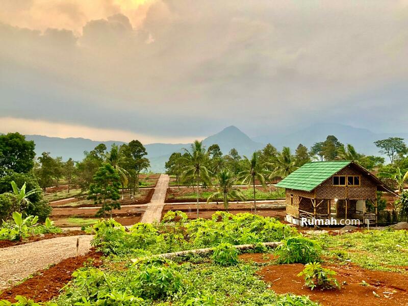 Detail Gambar Pegunungan Dan Sawah Nomer 41