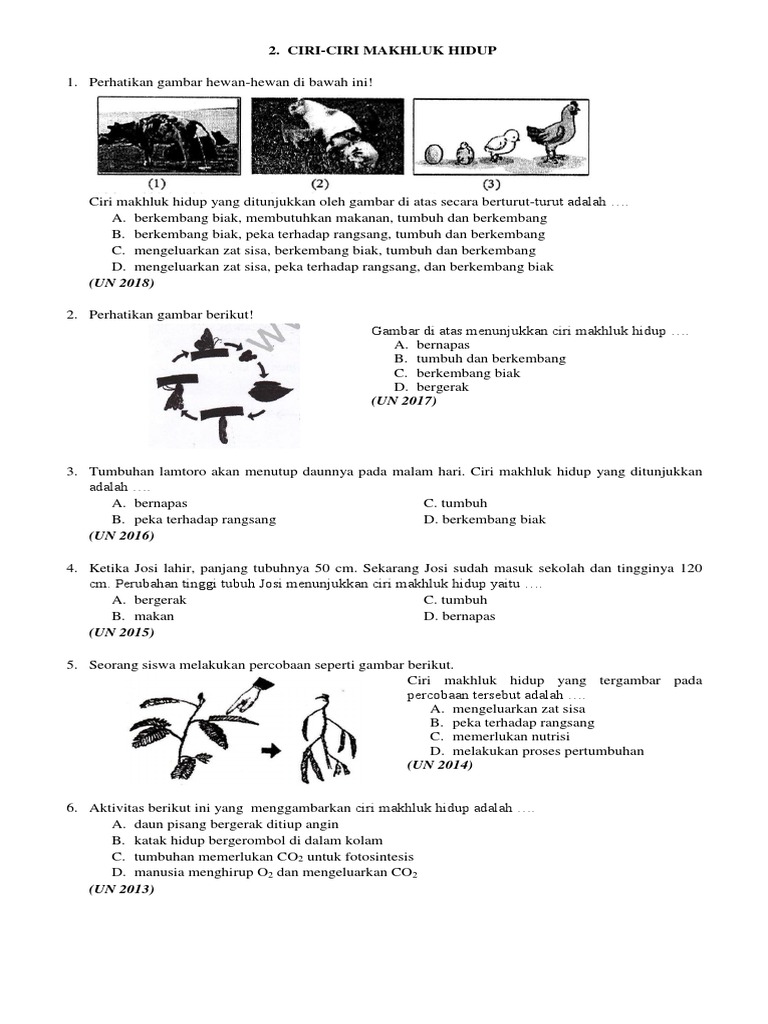 Detail Gambar Peka Terhadap Rangsang Nomer 45