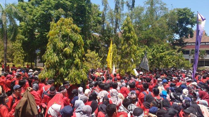 Detail Gambar Pekarangan Universitas Unmunhasdan Uin Nomer 31