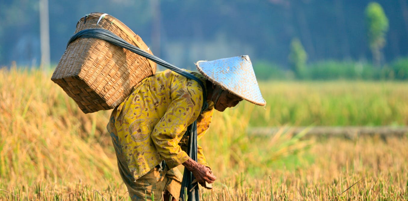 Detail Gambar Pekerjaan Petani Nomer 14