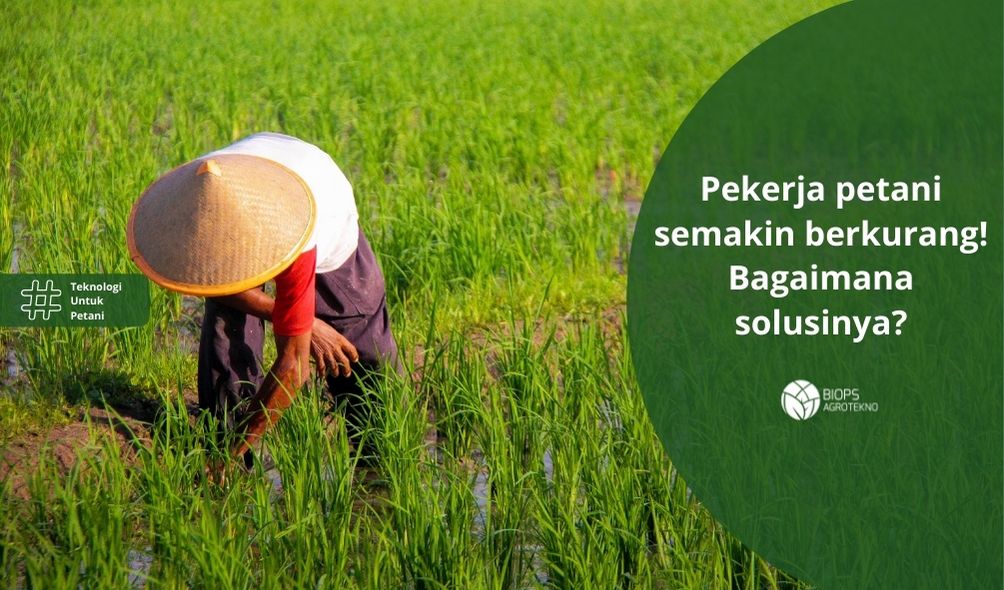 Detail Gambar Pekerjaan Petani Nomer 21