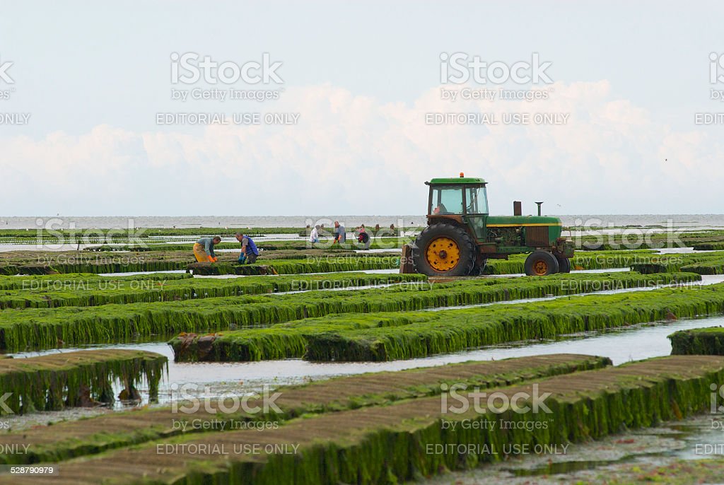 Detail Gambar Pekerjaan Petani Nomer 24