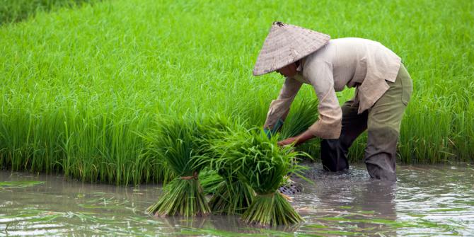 Detail Gambar Pekerjaan Petani Nomer 38