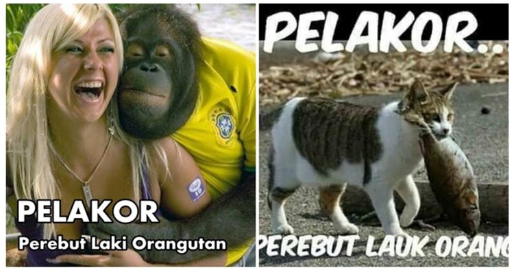 Detail Gambar Pelakor Lucu Nomer 12