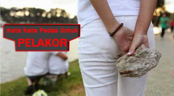 Detail Gambar Pelakor Lucu Nomer 36