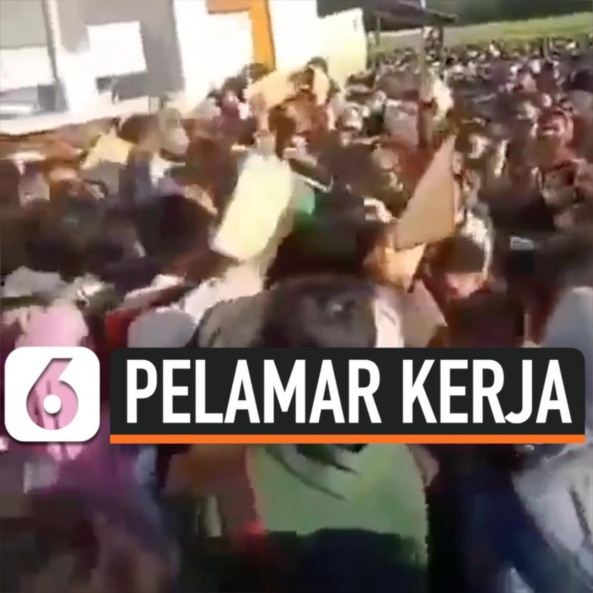 Detail Gambar Pelamar Kerja Nomer 26