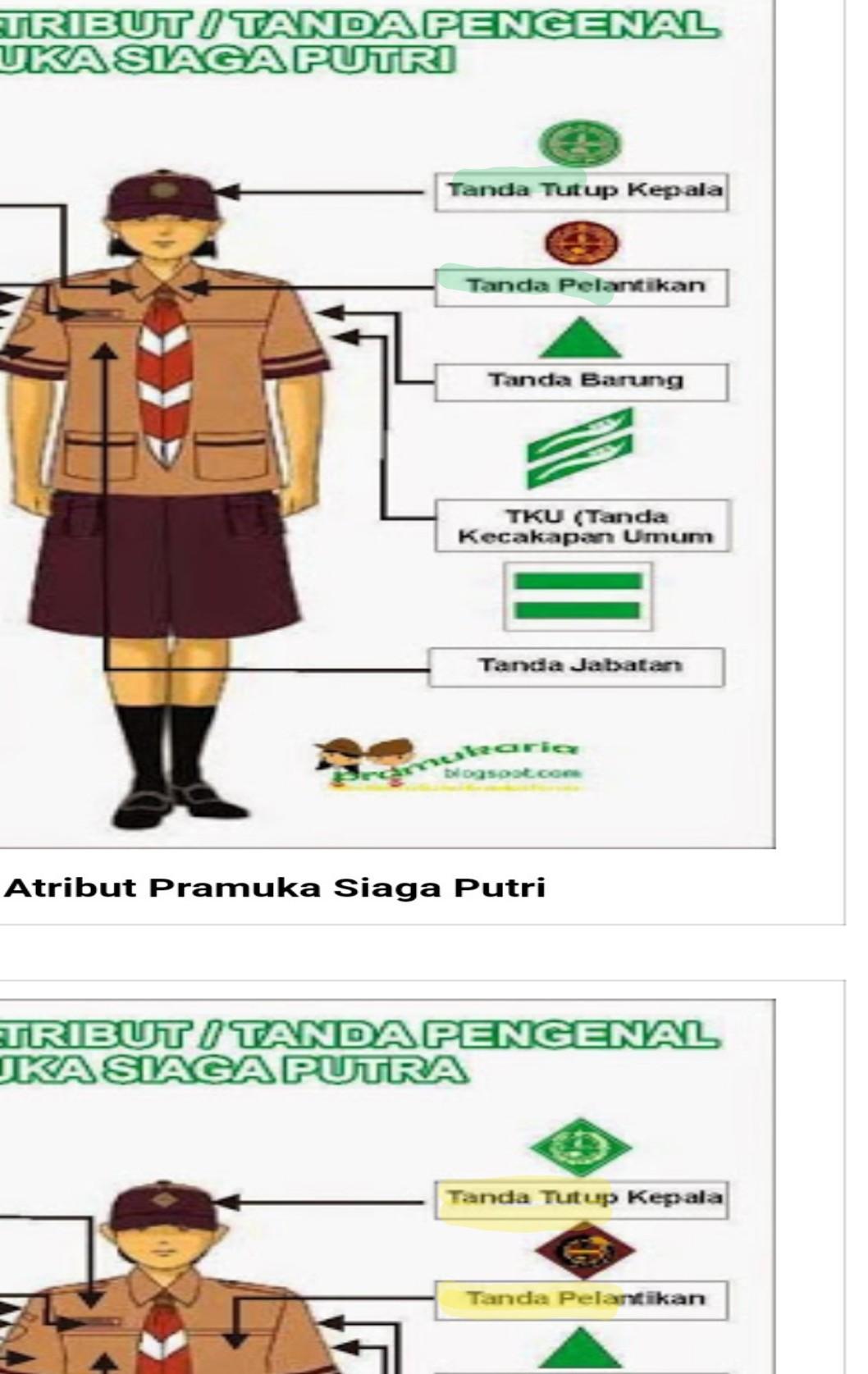 Detail Gambar Pelantikan Siaga Putri Nomer 30