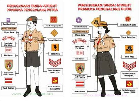 Detail Gambar Pelantikan Siaga Putri Nomer 51