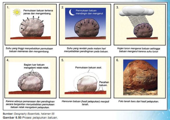 Detail Gambar Pelapukan Biologi Nomer 12