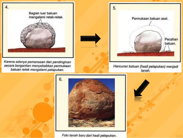 Detail Gambar Pelapukan Biologi Nomer 16