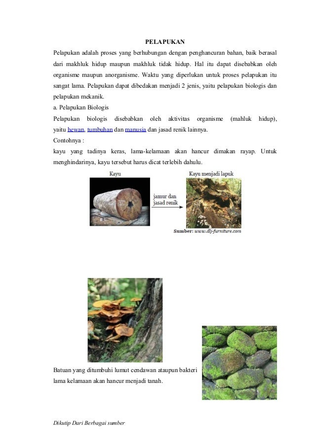 Detail Gambar Pelapukan Biologi Nomer 49