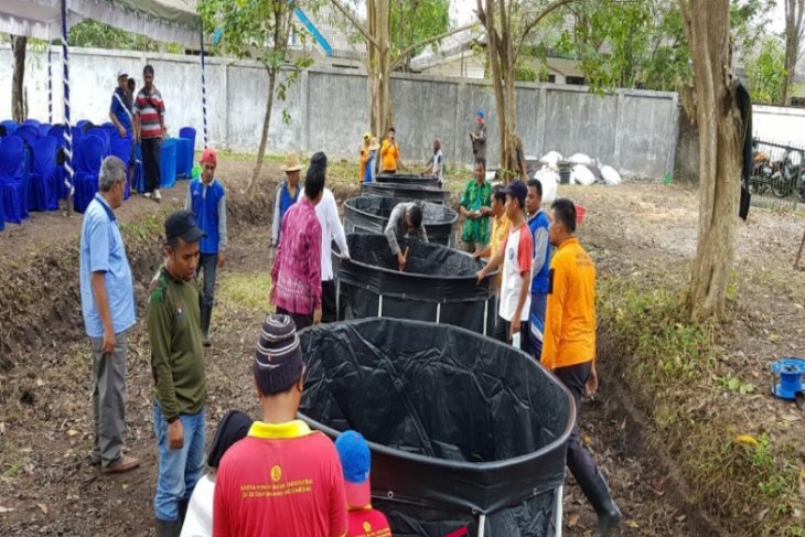 Detail Gambar Pelatihan Budi Daya Lele Nomer 4