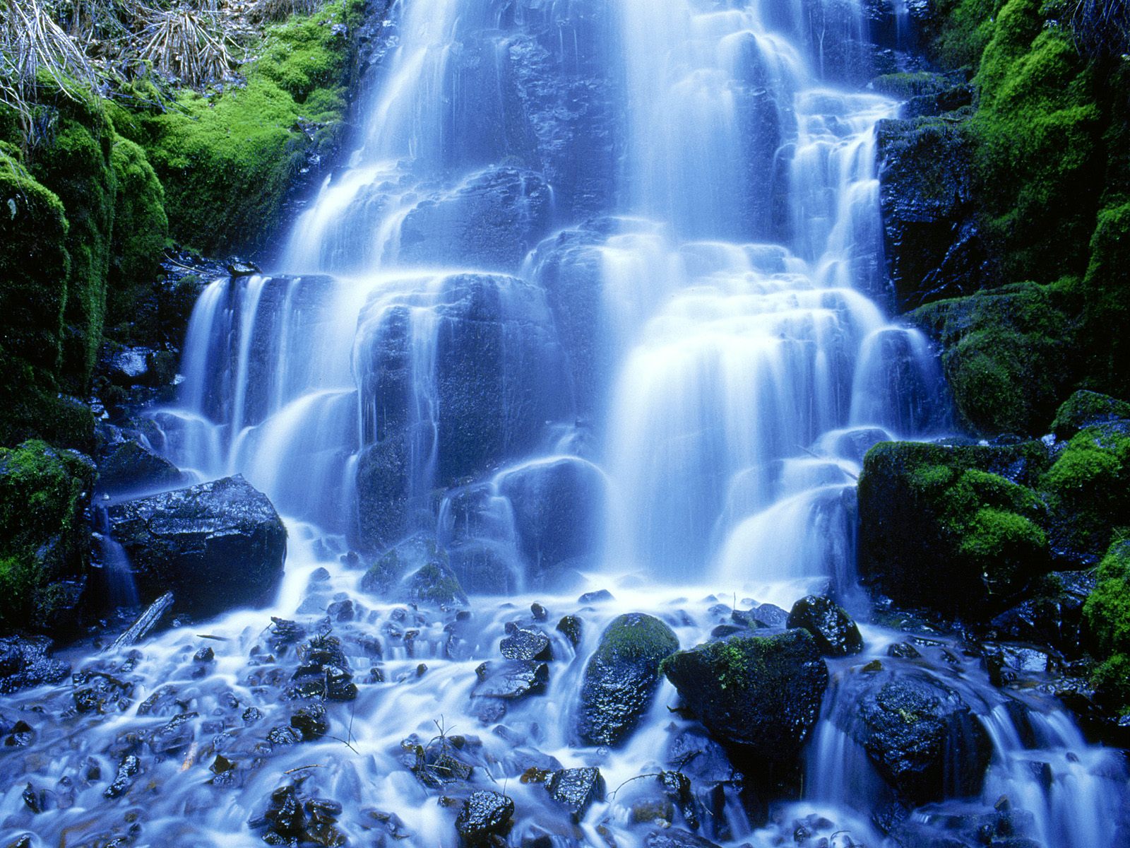 Detail Gambar Pemandangan Air Terjun Bergerak Nomer 45