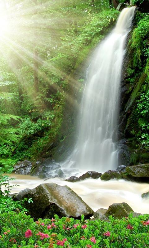 Detail Gambar Pemandangan Air Terjun Bergerak Nomer 6