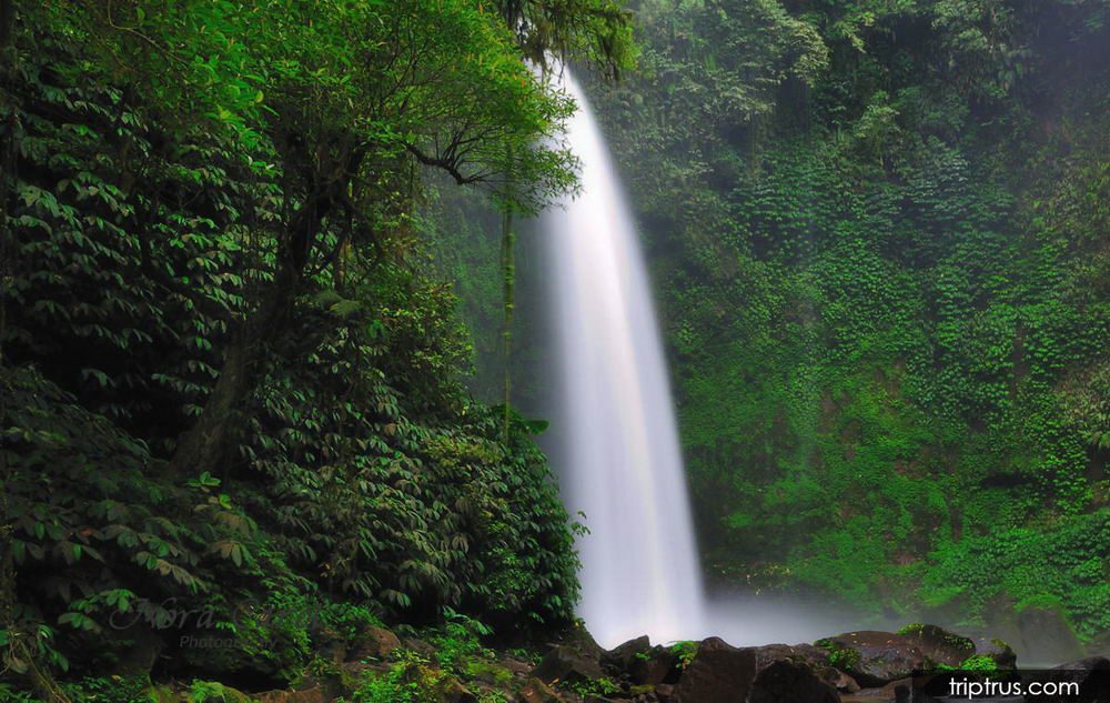 Detail Gambar Pemandangan Alam Air Terjun Nomer 30