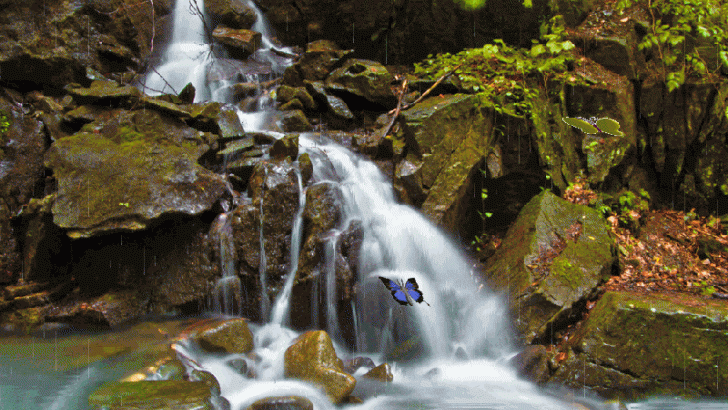 Detail Gambar Pemandangan Alam Air Terjun Bergerak Nomer 33