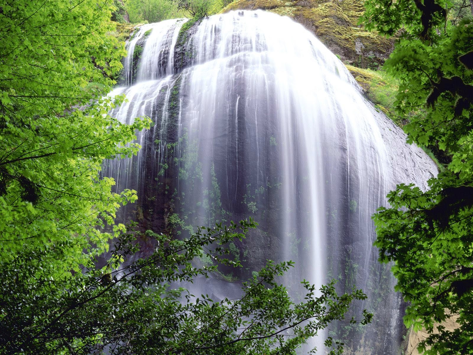 Detail Gambar Pemandangan Alam Air Terjun Bergerak Nomer 58