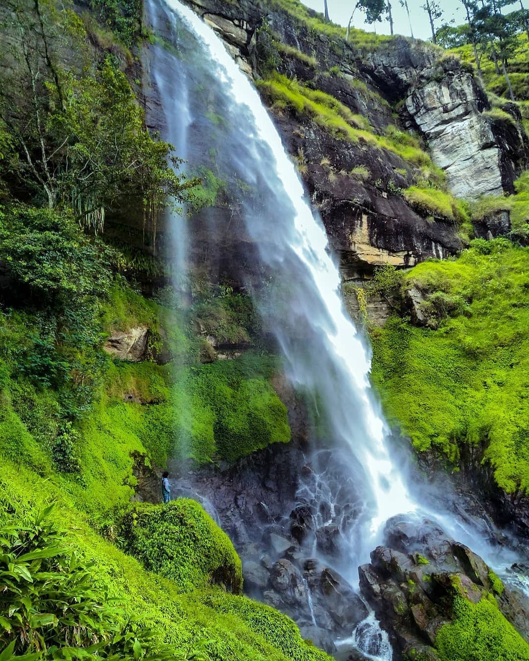 Detail Gambar Pemandangan Alam Gambar Pemandangan Alam Indonesia Nomer 42